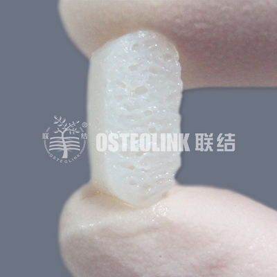 椎体间融合器配套专用海绵骨块